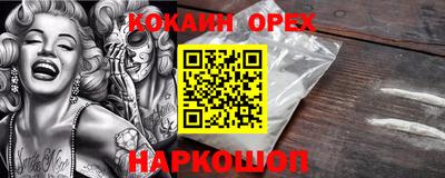 гашик Малгобек