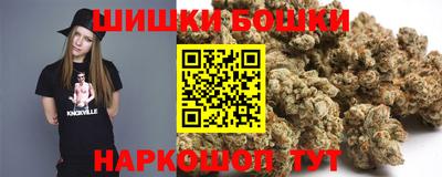 гашик Малгобек