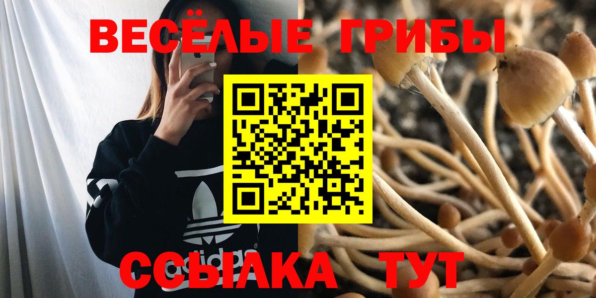Галлюциногенные грибы мухоморы  Вход с VPN  Великий Новгород 